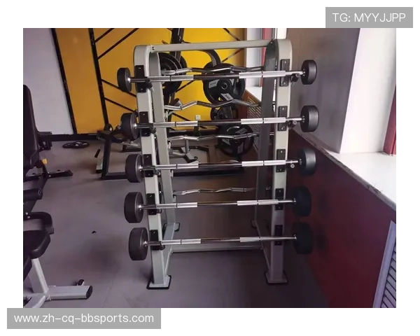 高效健身器材，助你塑造完美身材，提升锻炼乐趣与效果