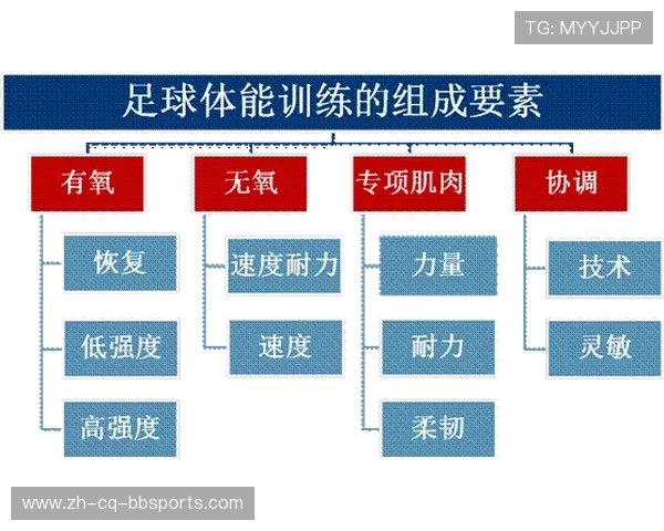 足球训练中的力量训练与体能基础